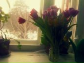 Фотография Киршиной Ксении