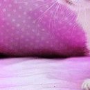 Іванка Зубенко фотография #36 (источник - https://vk.com/id100080283)