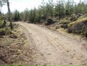 Иван Амельченко фотография #41 (источник - https://vk.com/id684343)