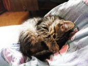 Иван Амельченко фотография #9 (источник - https://vk.com/id684343)