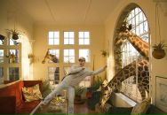 Андрій Сворак фотография #9 (источник - https://vk.com/id13358357)