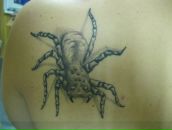 Фотография Габитова Ильшата