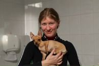 Фотография  