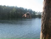 Фотография Ярошко Майя