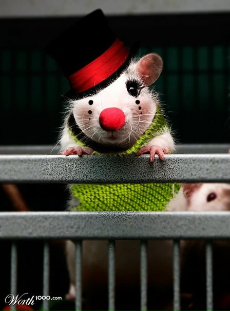 Mario Super фото №32