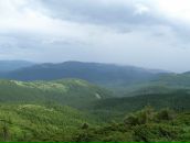 Александр Поліщук фотография #2 (источник - https://vk.com/id9517536)