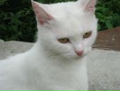 Юлія Галушко фотография #9 (источник - https://vk.com/id47605545)