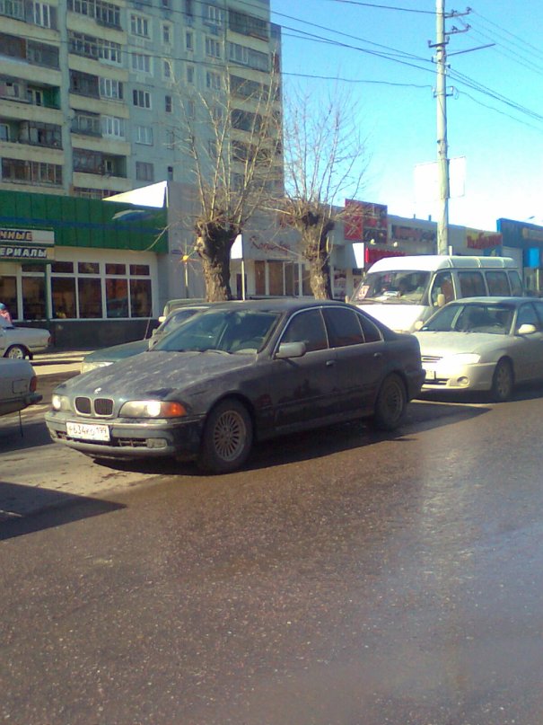 Дима Борисов фотография #16