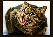 Илона Пугач фотография #15 (источник - https://vk.com/id76980932)