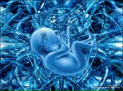 Фотография Форточкина Василия