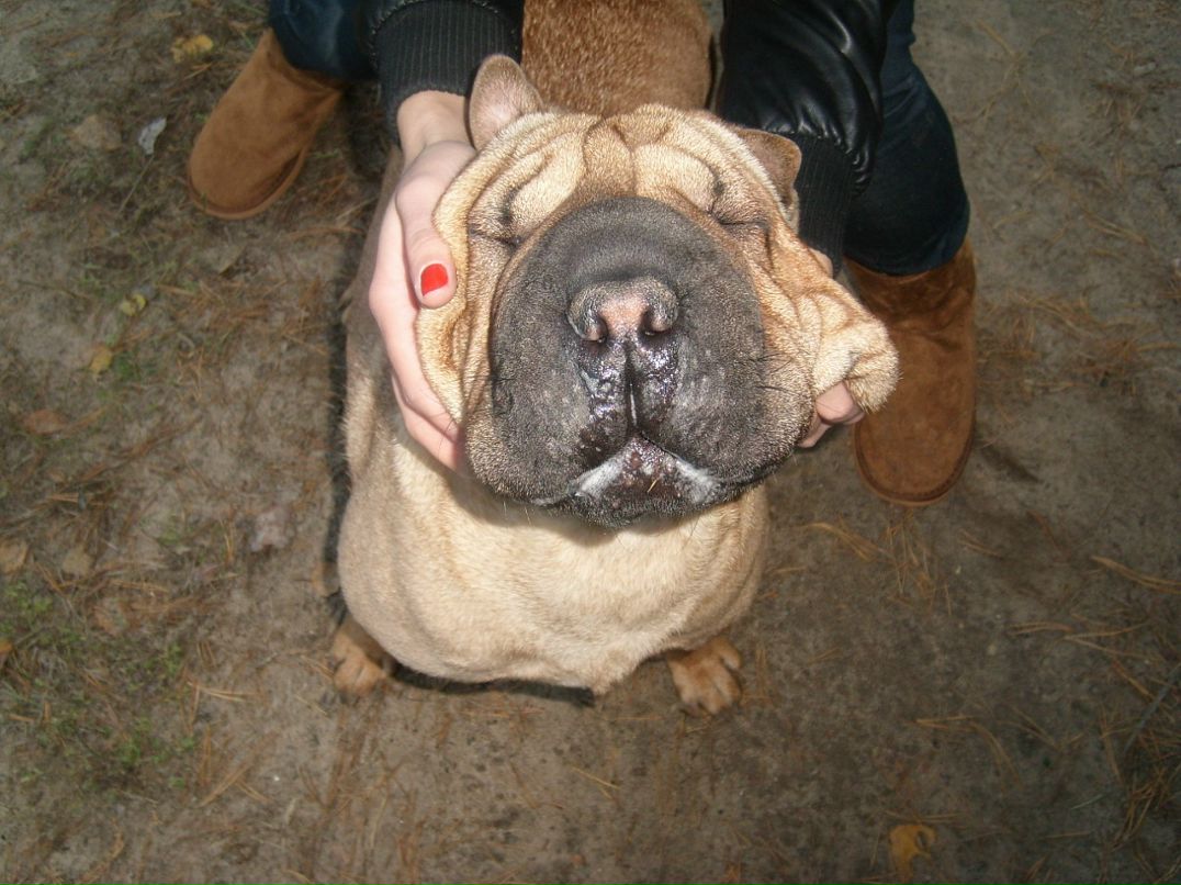 Гриша Дорощенко фотография #30