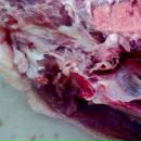 Фотография Хачикян Ваган