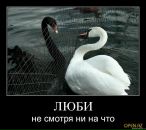 Фотография Ибятова Ильдара