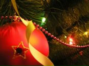 Дмитрий Солошенко фотография #23 (источник - https://vk.com/id2926465)