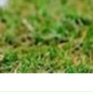 Юлія Мазур фотография #43 (источник - https://vk.com/id138895093)