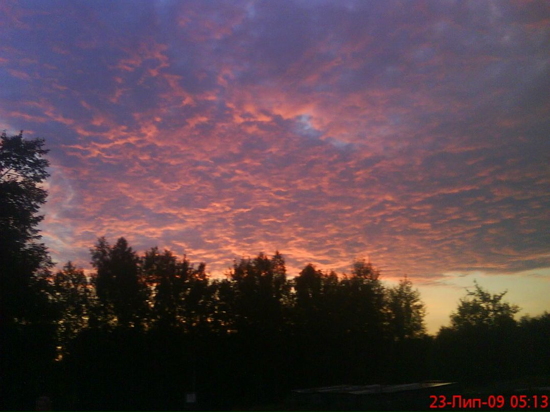 Міша Солтис фотография #34