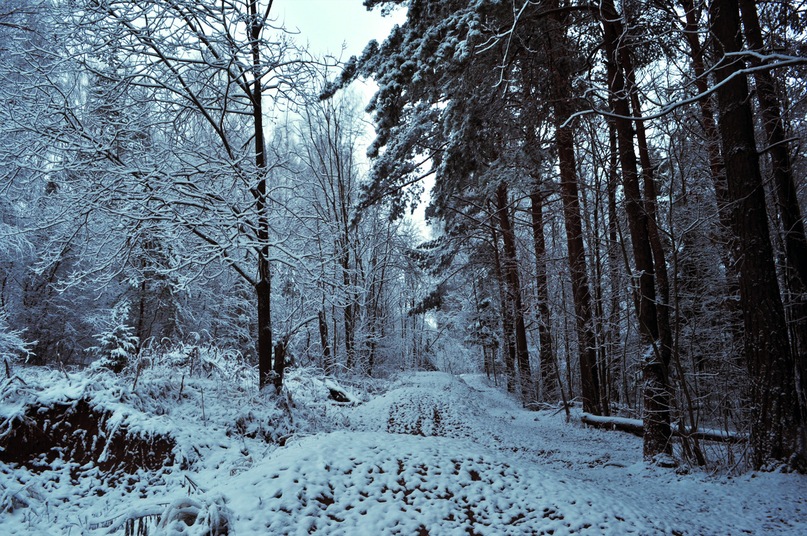 Era New фотография #47