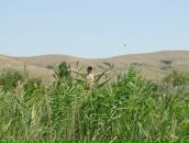 Фотография Борунова Макса