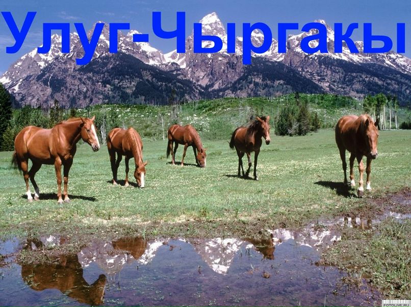 Али Куулар фотография #47