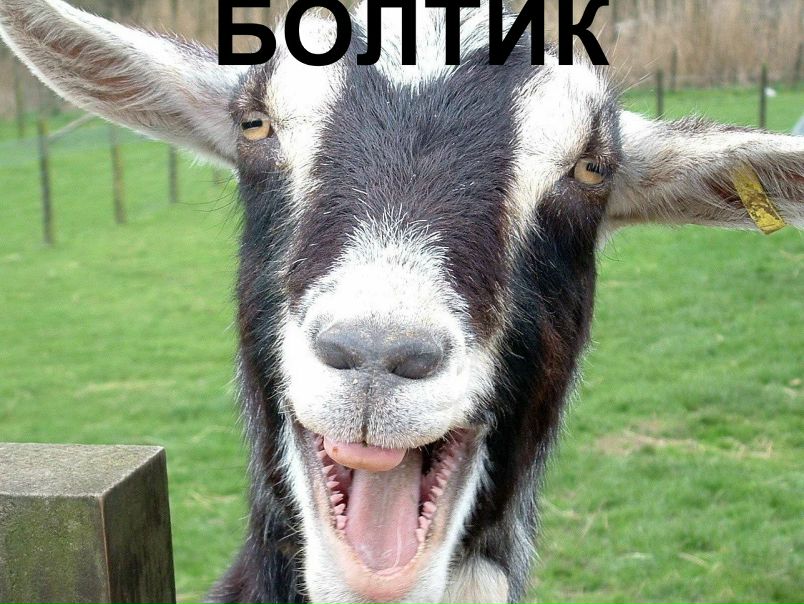 Дима Белый фото №1