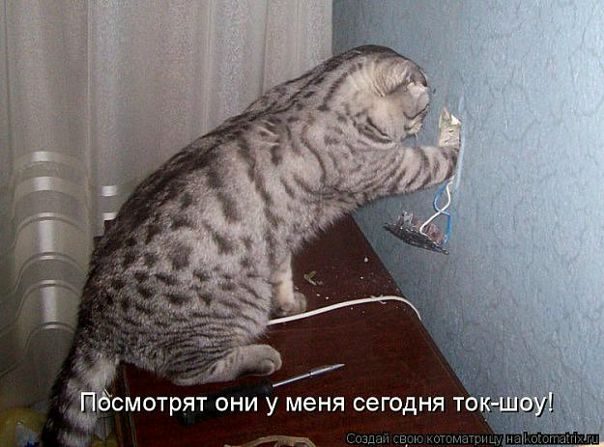 Цербер Хелдог фото №1