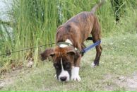 Кирилл Митяев фотография #21 (источник - https://vk.com/id6828811)