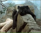 Фотография Абрамовой Маргариты