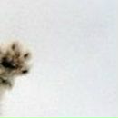 Яна Іштокіна фотография #17 (источник - https://vk.com/id87396786)