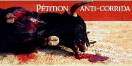 Фотография Баймулдина Акимжана