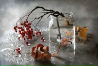 Фотография Мавриной Галины