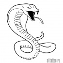 Сергій Ковальчук фотография #20 (источник - https://vk.com/id69613818)