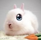 Фотография Кочуровой Майи