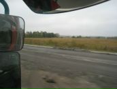 Фотография Голова Собственна