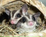 Фотография Дащук Юлии