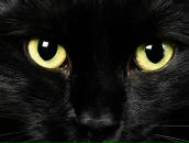 Фотография Сабитовой Ольги