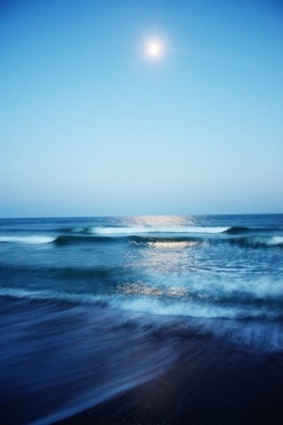 №4, Людмила Лужных №4, Людмила Лужных