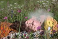 Фотография Борсук Аси