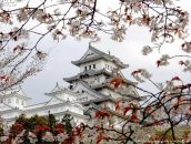 Фотография Грота-Журавченко Артёма