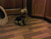 Антон Пейтер фотография #45 (источник - https://vk.com/id3122297)