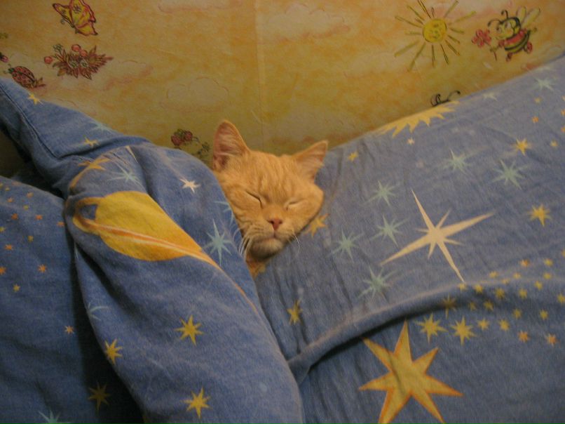 Дмитрий Криницын фотография #34