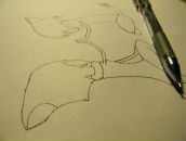 Фотография Шарагина Александра