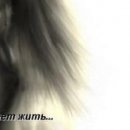 Натакент!!!_)))))))))))))) Ха!!!!!!!!!))))))))))) фотография #36 (источник - https://vk.com/id148146842)