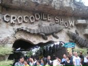 Клевый Парень фотография #16 (источник - https://vk.com/id391001)