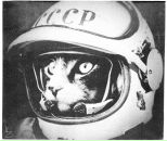 Елена Лучко фотография #9 (источник - https://vk.com/id294366)