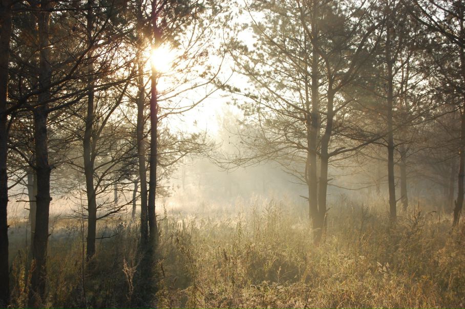 Михаил Яковлев фото №18