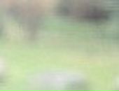 Кароліна Karolina фотография #47 (источник - https://vk.com/id25867737)