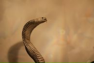 Фотография Фёдоровой Ольги