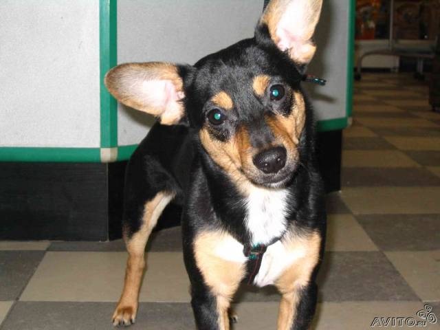 Яков Лебедев фотография #30