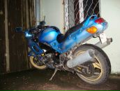 Фотография Шемякина Славы