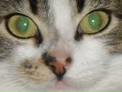 Іра Сидоренко фотография #8 (источник - https://vk.com/id31306493)